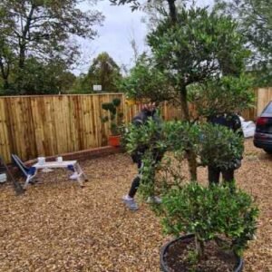Plant-Gallery-14