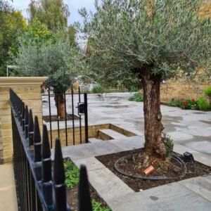 Plant-Gallery-16