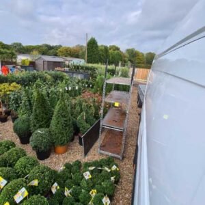 Plant-Gallery-19