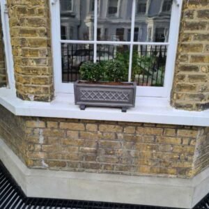 Plant-Gallery-21