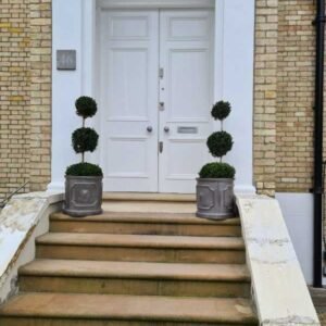 Plant-Gallery-27