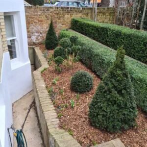 Plant-Gallery-28