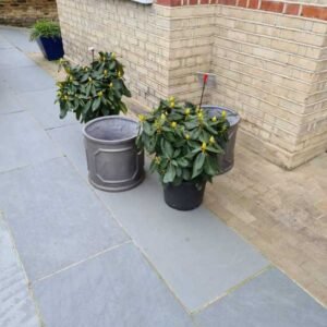 Plant-Gallery-29