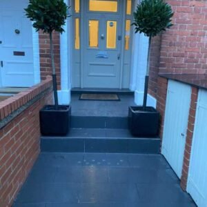 Plant-Gallery-3