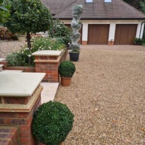 Plant-Gallery-5