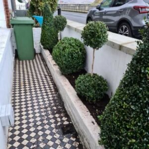 Plant-Gallery-6