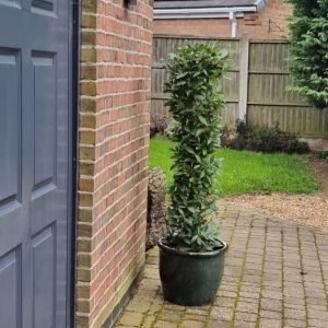 Bay cylinder