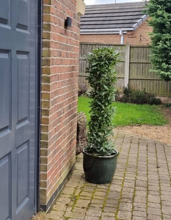Bay cylinder